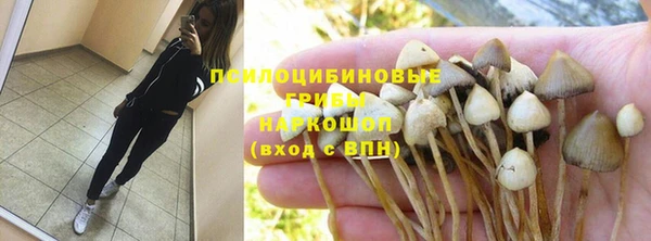 мяу мяу кристалл Няндома