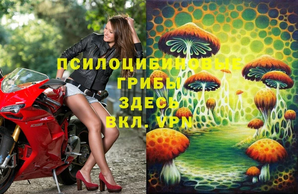 крисы Калининец