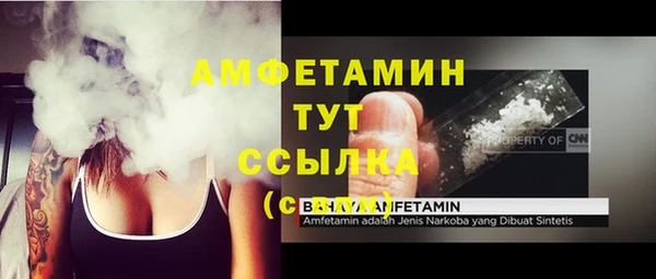 мяу мяу кристалл Няндома