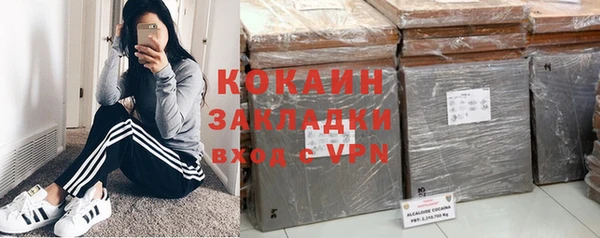 мяу мяу кристалл Няндома