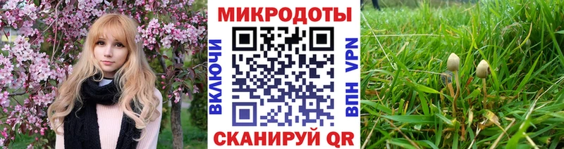 где можно купить   Ардатов  Псилоцибиновые грибы мицелий 