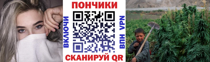 Бошки Шишки VHQ наркотики площадка как зайти Ардатов